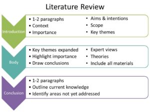 literature review nursing structure