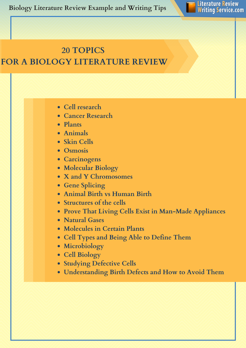 literature review for topic