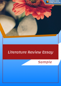 literature review essay definition