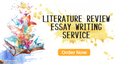 literature review essay ideas